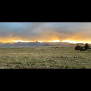 Meet your Posher, Sydney